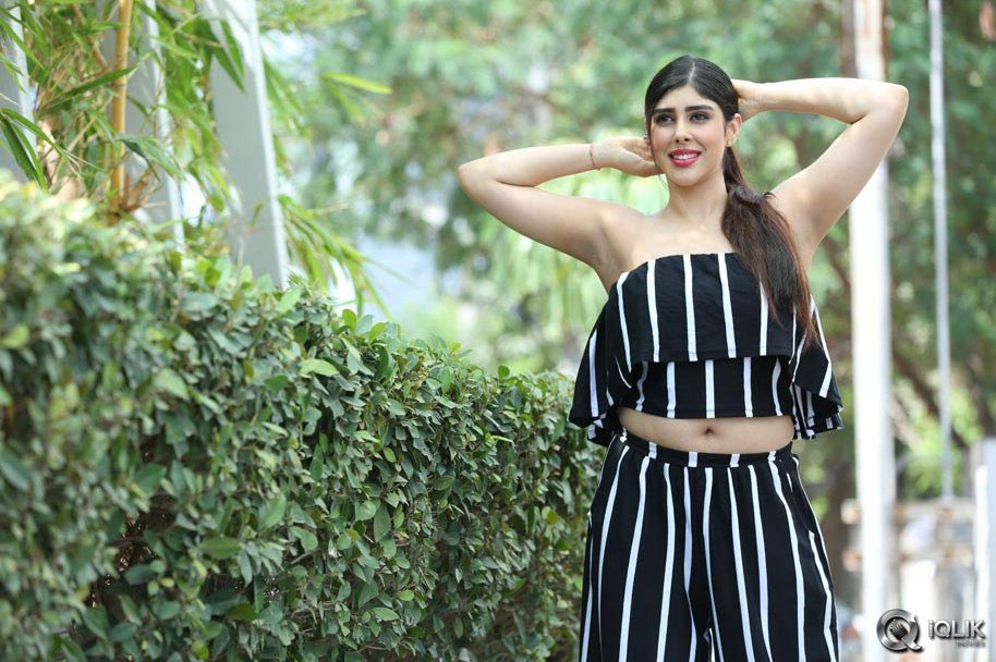 Actress-Aditi-Singh-Latest-Photos